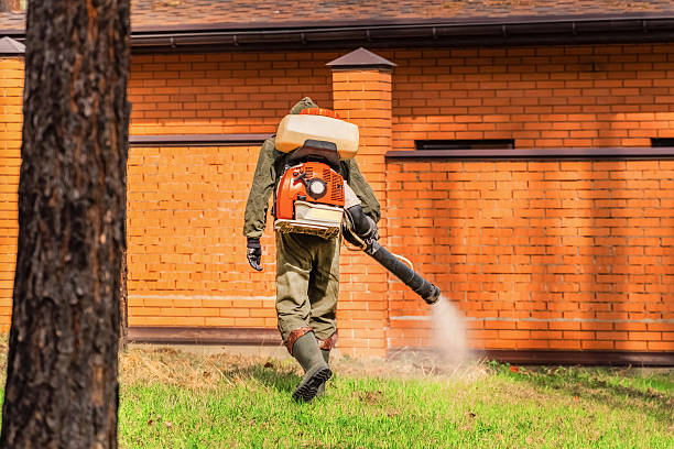 Trusted Cockroach Control service in Newburgh, IN - Nex Pest Control